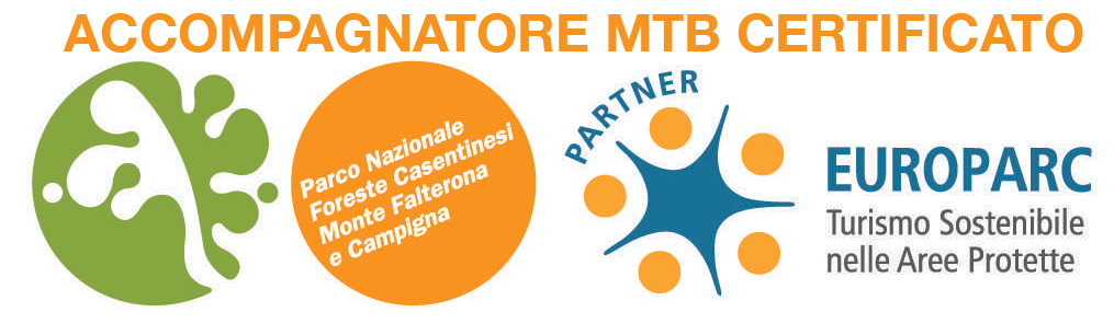 Logo certificazione CETS 2 ACCO MTB CERTIFICATO