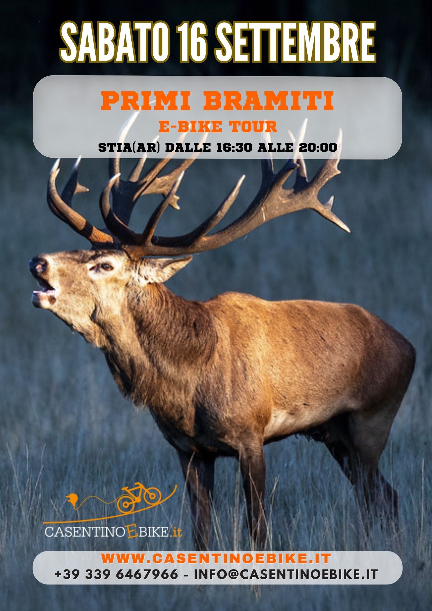 Primi Bramiti 16 9 2023