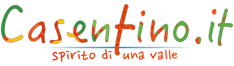 logo casentinoit