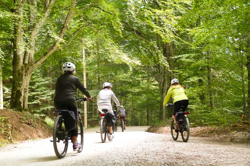 tour ebike foresta sterrato