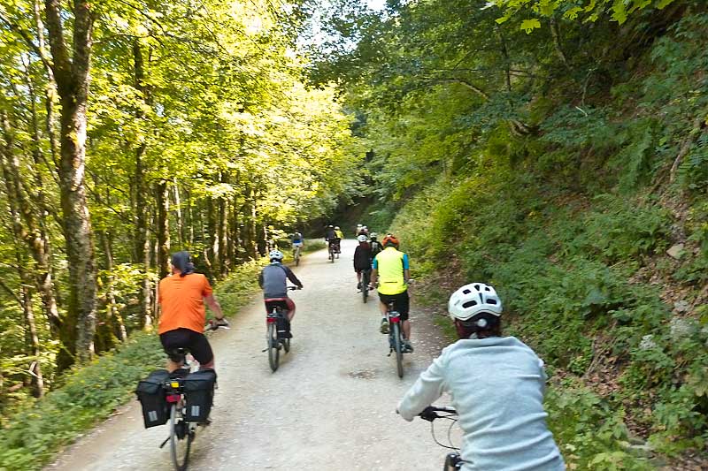 tour ebike foresta sterrato 2